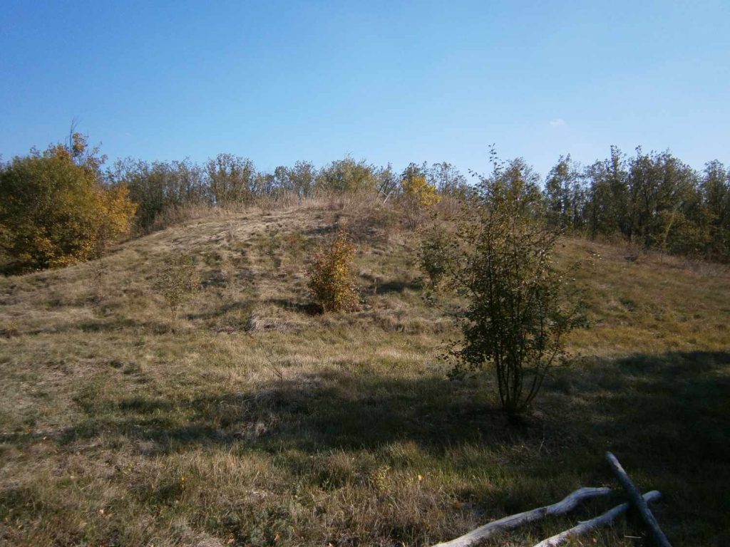 Towsta Mohyla
