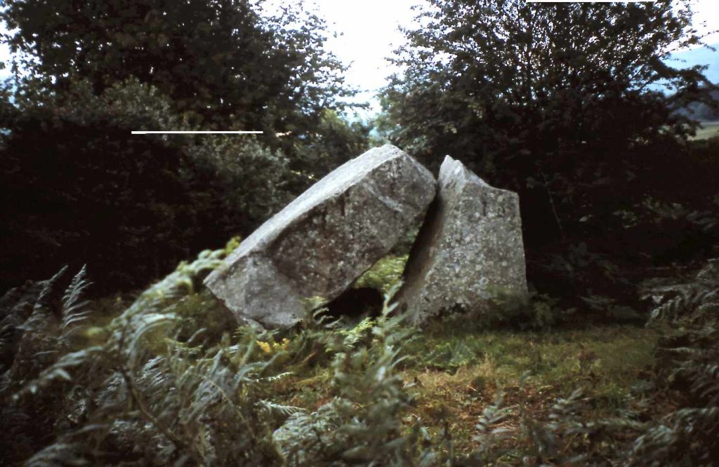 Woodtown Portal Tomb