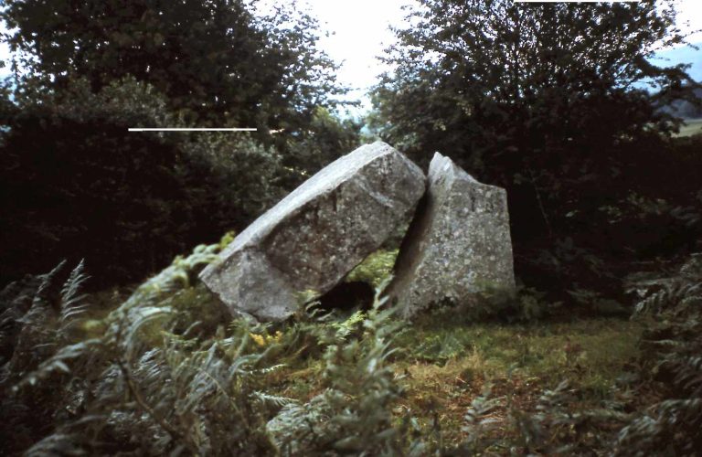 Woodtown Portal Tomb